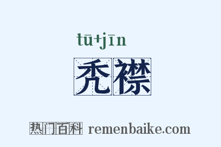 秃襟是什么意思的图片